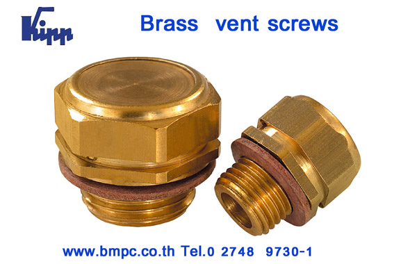 Brass vent screw, Vent plug, Breather screw plug, ปลั๊กอุดมีรูระบาย, น๊อตระบาย, Breather plug, Vent screw with air filter